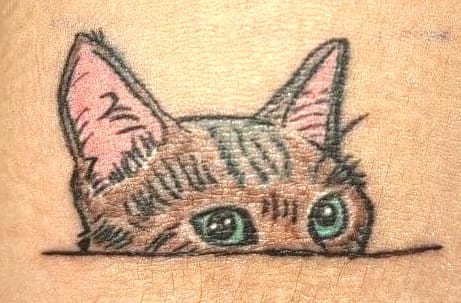 Cat Illustrative/Sketchy Style Tattoo